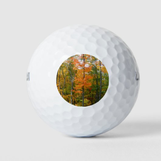 Esdoornbomen in de herfst Natuurfotografie Golfballen (Voorkant)