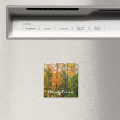 Esdoornbomen in de herfst Natuurfotografie Magneet (Insitu (Vaatwasser))