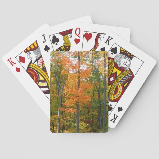 Esdoornbomen in de herfst Natuurfotografie Pokerkaarten (Achterkant)