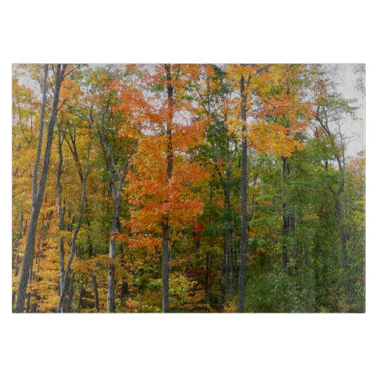 Esdoornbomen in de herfst Natuurfotografie Snijplank (Voorkant)