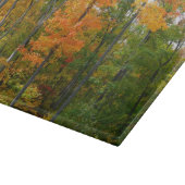 Esdoornbomen in de herfst Natuurfotografie Snijplank (Hoek)