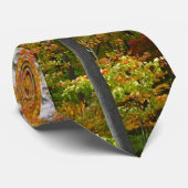 Esdoornbomen in de herfst Natuurfotografie Stropdas (Opgerold)