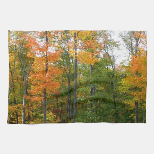 Esdoornbomen in de herfst Natuurfotografie Theedoek (Horizontaal)
