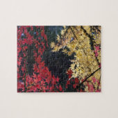 Esdoornbomen in herfstkleuren legpuzzel (Horizontaal)
