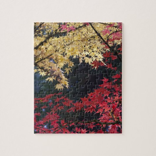 Esdoornbomen in herfstkleuren legpuzzel (Verticaal)