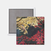 Esdoornbomen in herfstkleuren magneet (Voorkant / Achterkant)