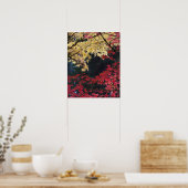 Esdoornbomen in herfstkleuren poster (Keuken)