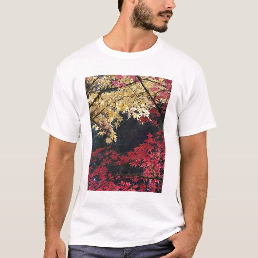 Esdoornbomen in herfstkleuren t-shirt (Voorkant)
