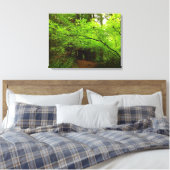 Esdoornbomen in Redwood Forest Canvas Afdruk (Insitu (Slaapkamer))