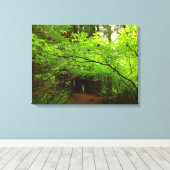 Esdoornbomen in Redwood Forest Canvas Afdruk (Insitu (Houten vloer))