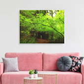 Esdoornbomen in Redwood Forest Canvas Afdruk (Insitu (Woonkamer))