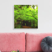 Esdoornbomen in Redwood Forest Canvas Afdruk (Insitu (Woonkamer))