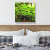 Esdoornbomen in Redwood Forest Canvas Afdruk (Insitu (Slaapkamer))