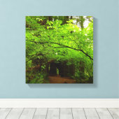 Esdoornbomen in Redwood Forest Canvas Afdruk (Insitu (Houten vloer))