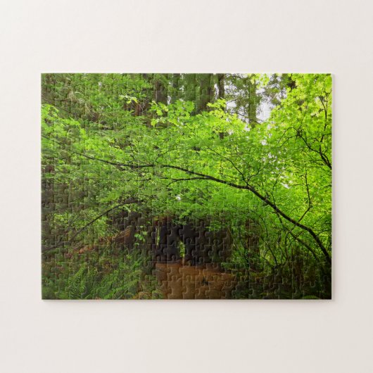 Esdoornbomen in Redwood Forest Legpuzzel (Horizontaal)