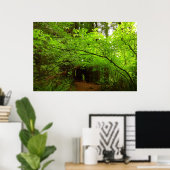 Esdoornbomen in Redwood Forest Poster (Thuiskantoor)