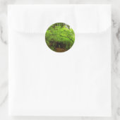 Esdoornbomen in Redwood Forest Ronde Sticker (Tas)