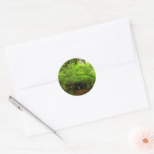 Esdoornbomen in Redwood Forest Ronde Sticker (Envelop)