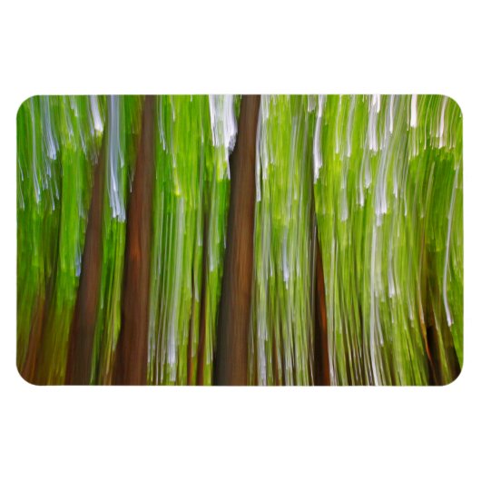 Esdoornbos Abstract Magneet (Horizontaal)