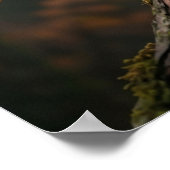 Esdoornuil Herfstglans Poster (Hoek)