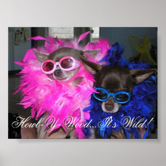 Ese en Lola Go Hollywood Poster