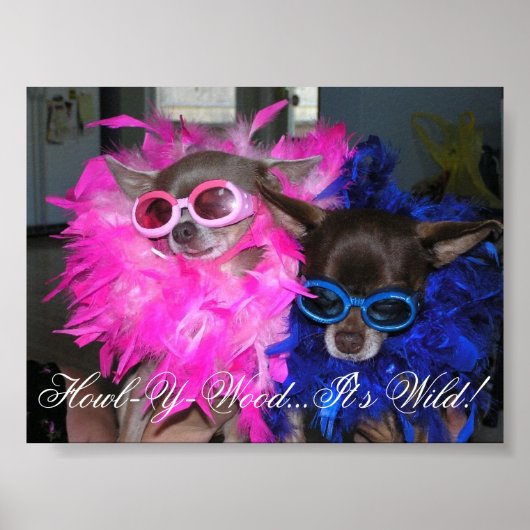 Ese en Lola Go Hollywood Poster (Voorkant)