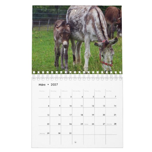 Esel oder Donkey als Kalender (Mar 2027)