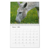 Esel oder Donkey als Kalender (Feb 2026)