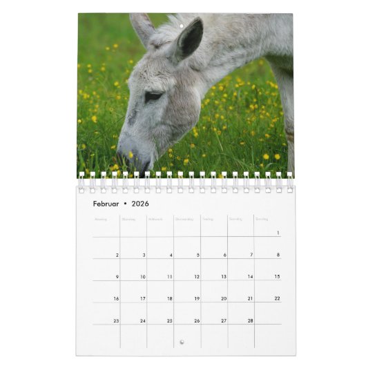 Esel oder Donkey als Kalender (Feb 2026)