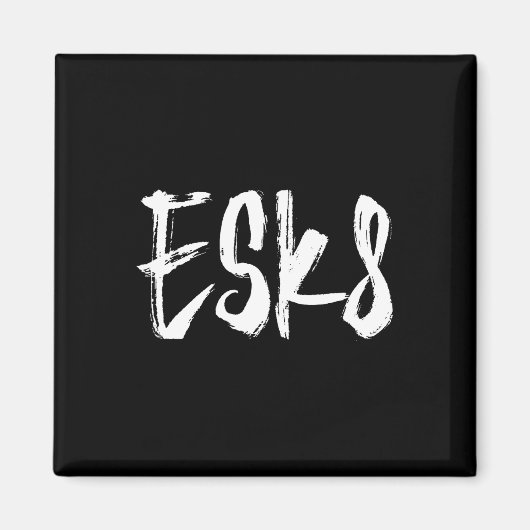 Esk8 - Elektrisch Skateboarden Magneet (Voorkant)