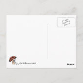 Eskimo in Ice Quantum Cutie die je mist Briefkaart (Achterkant)