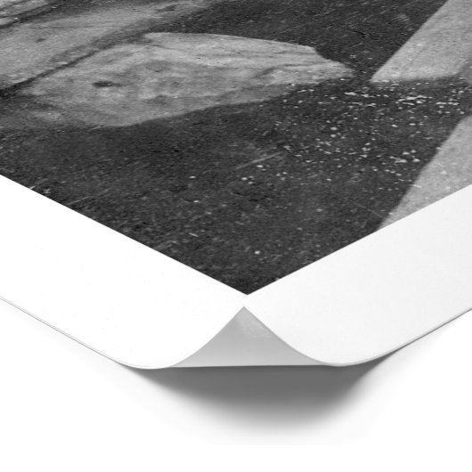 Eskimo Kinderen & Puppies 1904 Poster (Hoek)