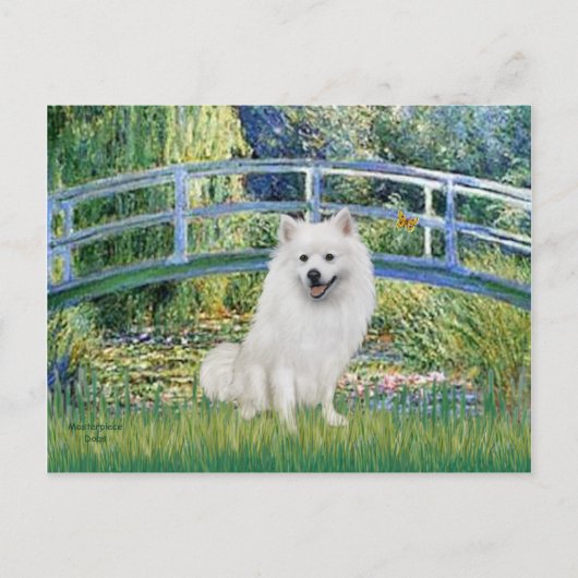 Eskimo Spitz 1 - Brug Briefkaart (Voorkant)