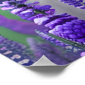 Eskimo Woman of Lupin & Phlox Digital Art Poster (Hoek)