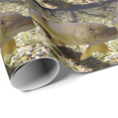 Esox lucius cadeaupapier (Rol Hoek)