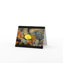 Esp & de lege kaart van de waterdaling