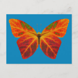 esp-lefbutterfly 2 briefkaart