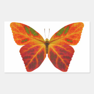 esp-lefbutterfly 2 rechthoekige sticker