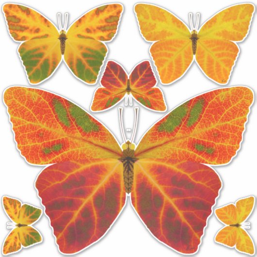 esp-lefbutterfly 2 sticker (Voorkant)