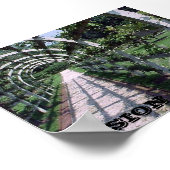 Espalier Apple Tree - Visie Poster (Hoek)