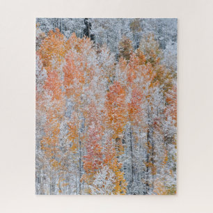 Espen & Sneeuw   Rocky Mountains, Colorado Legpuzzel