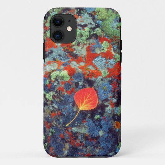 Espenblad op een met korstmos bedekte rots Case-Mate iPhone case (Achterkant)
