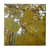 espenbladeren tegeltje (Voorkant)