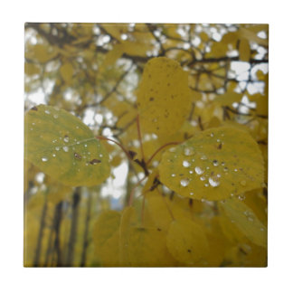 espenbladeren tegeltje