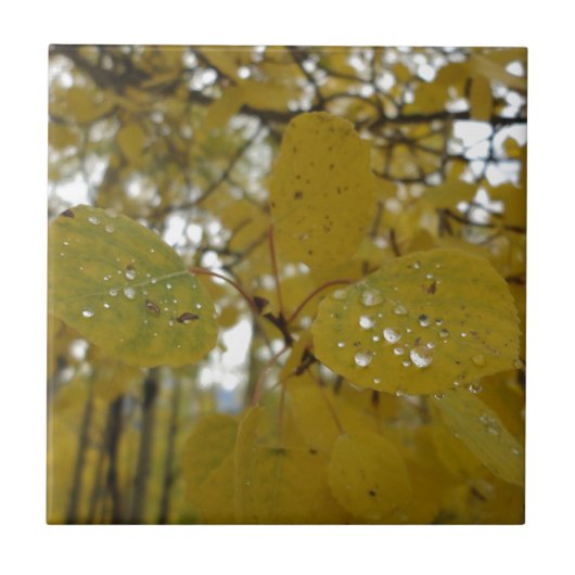 espenbladeren tegeltje (Voorkant)