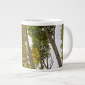 Espenbomen Grote Koffiekop (Voorkant rechts)