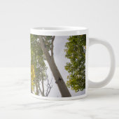 Espenbomen Grote Koffiekop (Rechts)