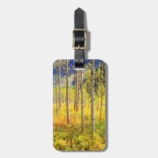 Espenbomen in de herfst in de Rockies Bagagelabel (Voorkant verticaal)