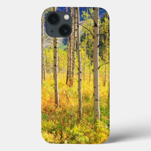 Espenbomen in de herfst in de Rockies Case-Mate iPhone Case (Achterkant)