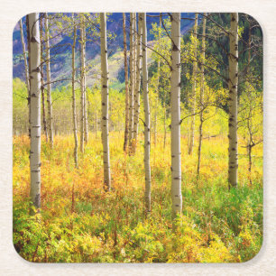 Espenbomen in de herfst in de Rockies Kartonnen Onderzetters